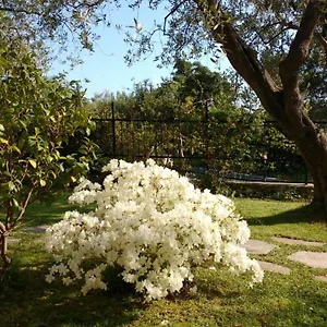 Bed & Breakfast La Vie Est Belle, Finale Ligure